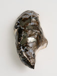 Magic Oyster
