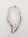 Magic Oyster