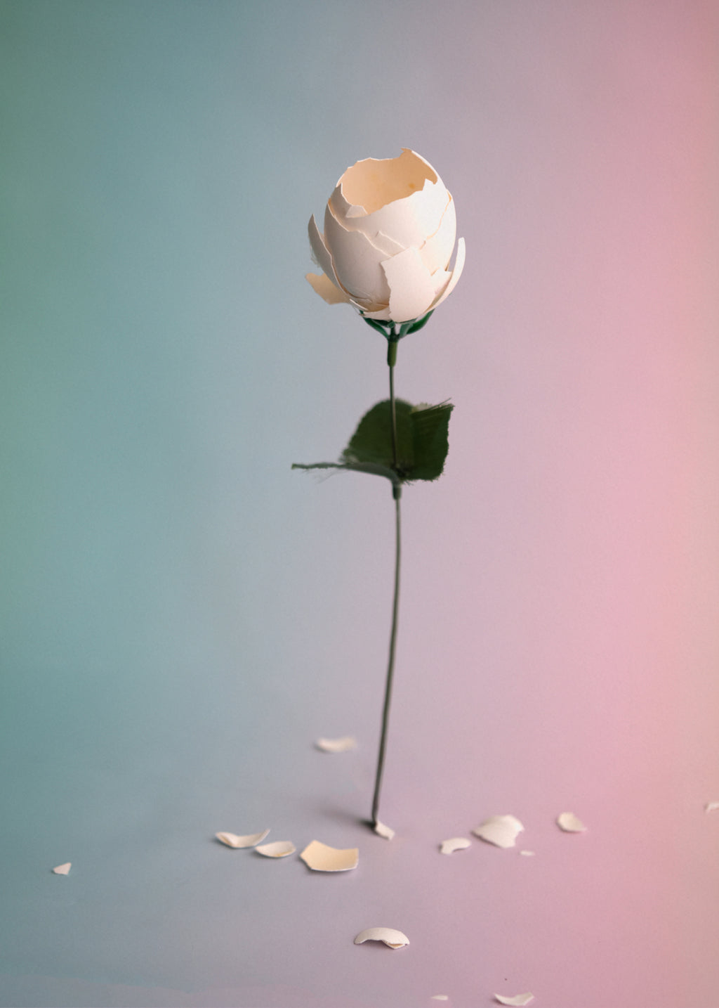 WORKSHOP: FOREVER FLOWERS