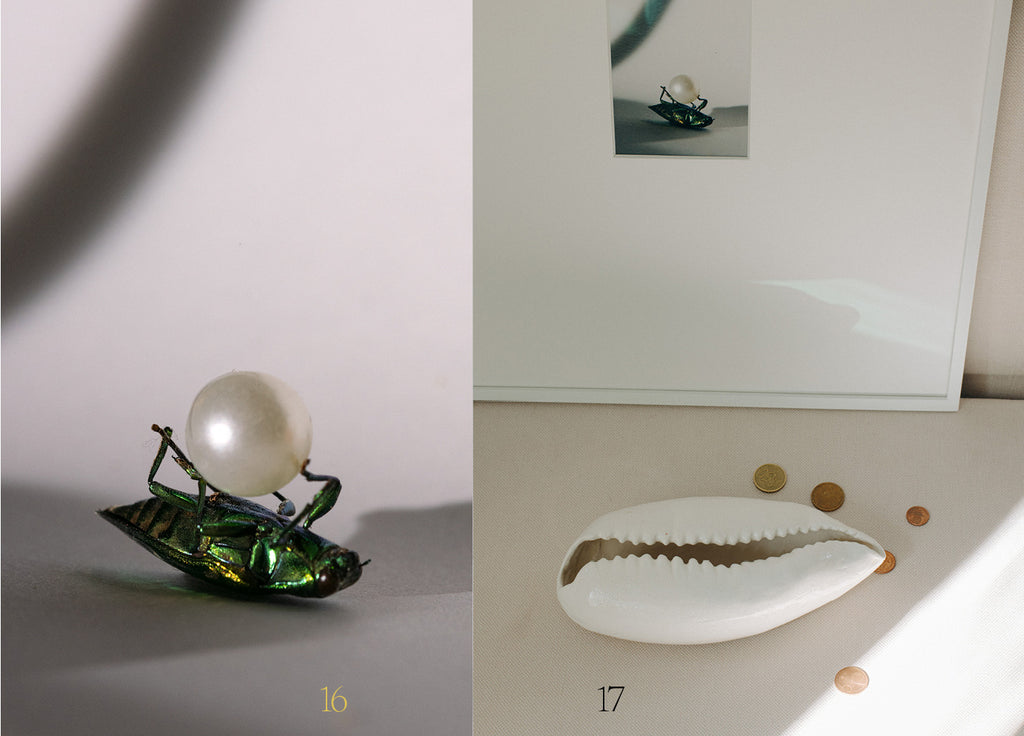 CATALOGUE 2026