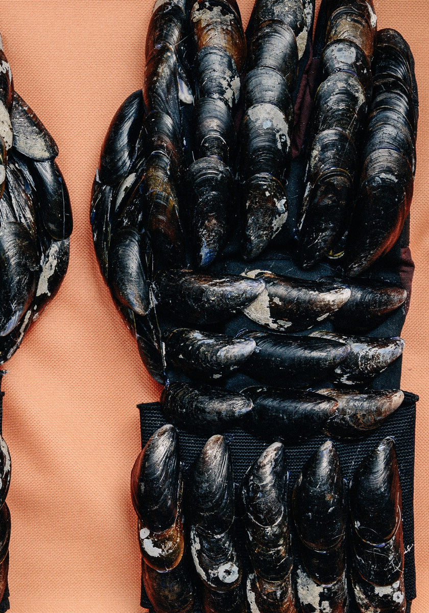 MUSSEL GLOVES