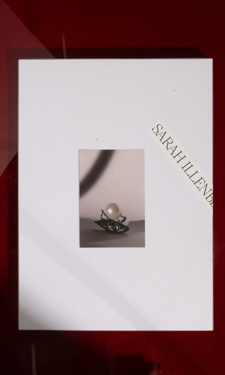 Calendar 2026 Special Edition