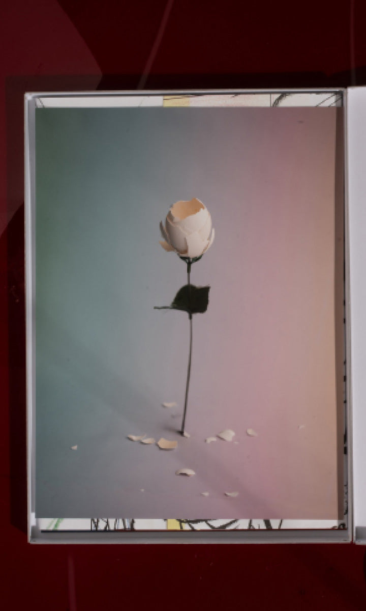 Calendar 2026 Special Edition